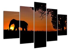 Obraz slona v přírodě (150x105cm)