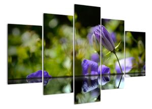 Modrá květina - obraz (150x105cm)
