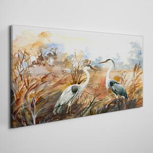Obraz na plátně Obraz na plátně Abstrakce živočišných ptáků