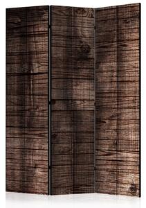Paraván tmavě hnědé dřevo Velikost (šířka x výška): 135x172 cm
