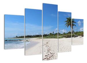 Exotická pláž - obraz (150x105cm)