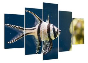 Ryba - obraz (150x105cm)