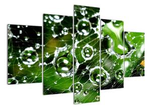 Kapky vody - obrazy (150x105cm)