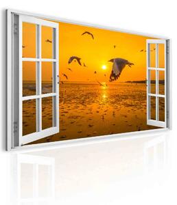 3D obraz okno s racky Velikost (šířka x výška): 30x20 cm