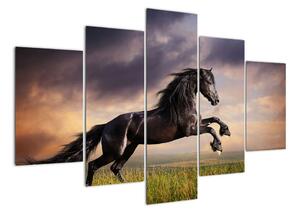 Kůň - obraz (150x105cm)
