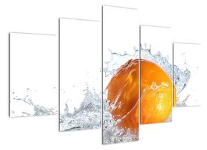 Obraz pomeranče (150x105cm)