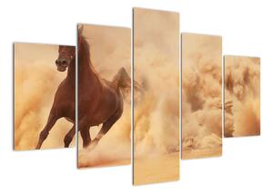 Cválající kůň - obraz (150x105cm)