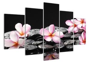 Květiny - obraz (150x105cm)