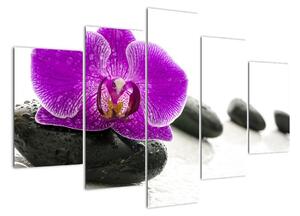 Orchidej - obraz (150x105cm)