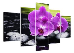 Obraz - orchidej (150x105cm)