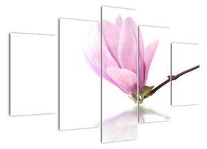 Květ - obraz (150x105cm)
