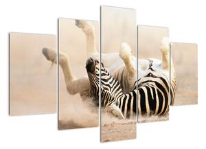 Obraz zebry (150x105cm)