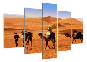 Velbloudi v poušti - obraz (150x105cm)