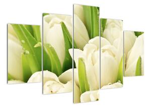 Detail tulipánů - obraz (150x105cm)