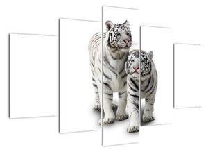 Tygr bílý - obraz (150x105cm)