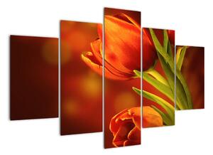 Obraz tulipánů (150x105cm)