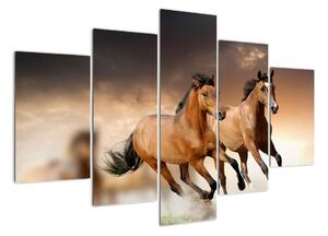 Koně - obraz (150x105cm)