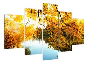 Podzimní krajina - obraz (150x105cm)