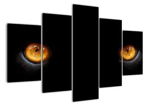 Zvířecí oči - obraz (150x105cm)