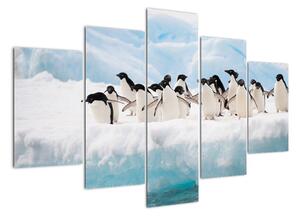 Tučňáci - obraz (150x105cm)