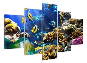 Podmořský svět - obraz (150x105cm)