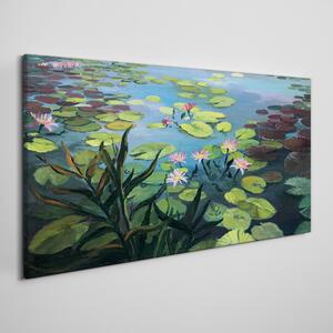 Obraz na plátně Obraz na plátně Jezero květ listy květiny