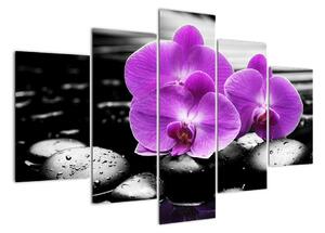 Obraz orchidejí (150x105cm)