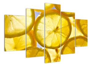Plátky citrónů - obraz (150x105cm)