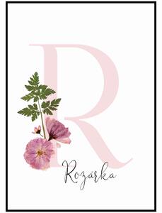 Plakát První písmeno jména - růžová Rozměr plakátu: 30 x 40 cm, Písmeno: R
