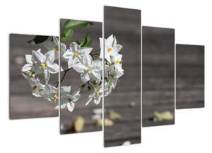 Obrazy květiny (150x105cm)
