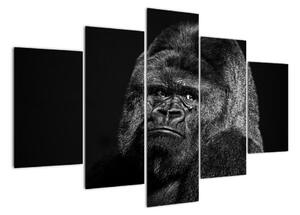 Obraz opice (150x105cm)