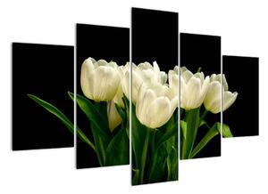 Bílé tulipány - obraz (150x105cm)