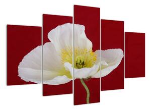 Obraz květu (150x105cm)