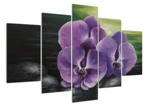 Obraz květů orchideje (150x105cm)