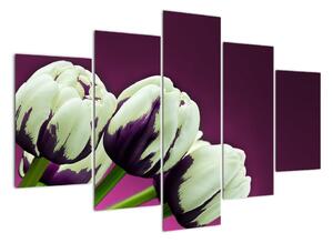 Makro tulipánů - obraz (150x105cm)