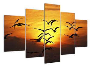 Obraz letících ptáků (150x105cm)
