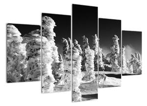 Obraz - zimní hory (150x105cm)