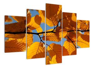 Podzimní listí - obraz (150x105cm)