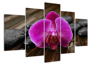 Obraz orchideje (150x105cm)