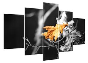 Obraz - přicházející podzim (150x105cm)