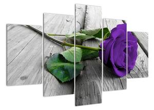Obrazy květin - růže (150x105cm)