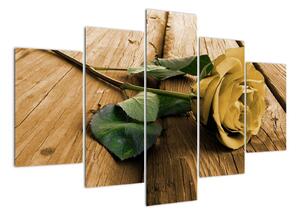 Obrazy květin - růže (150x105cm)