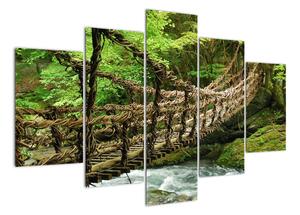 Obraz - most v přírodě (150x105cm)