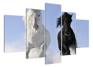 Koně, obraz (150x105cm)