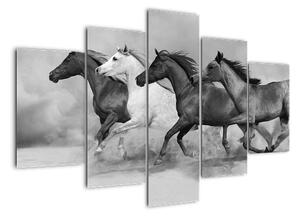 Obraz cválajících koňů (150x105cm)