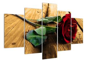 Ležící růže - obraz (150x105cm)