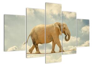 Slon na laně, obraz (150x105cm)