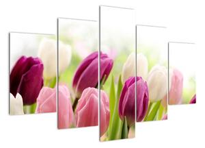 Tulipány, obrazy (150x105cm)