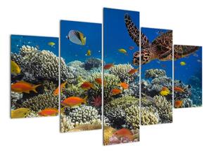 Obraz podmořského světa (150x105cm)