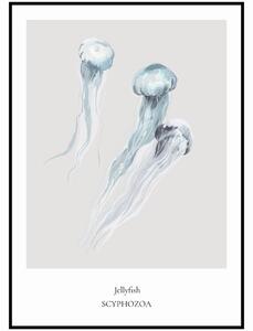 Plakát Jellyfish Rozměr plakátu: A4 (21 x 29,7 cm)
